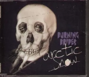 Arctic Snow