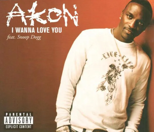 I Wanna Love You