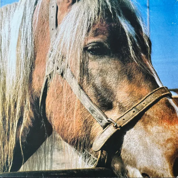 The Horse
