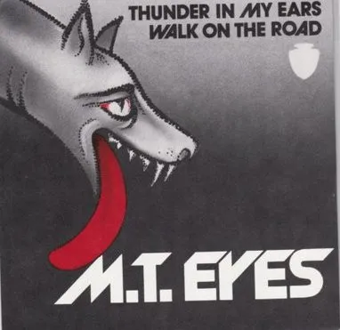 Thunder In My Ears