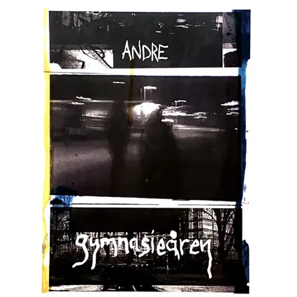 Gymnasieåren