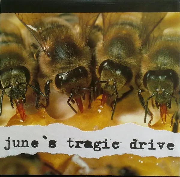 June's Tragic Drive