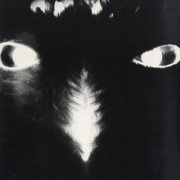 Ulanbator / Altiplano