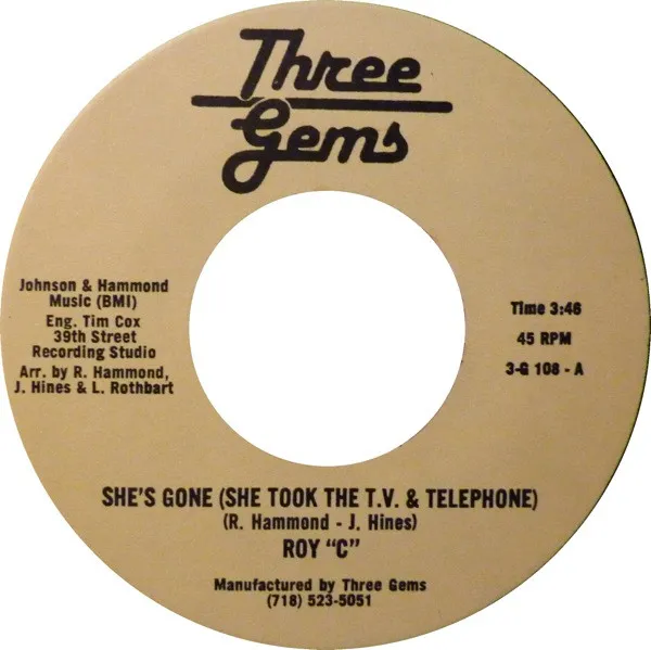 She's Gone (She Took The T.V. & Telephone)