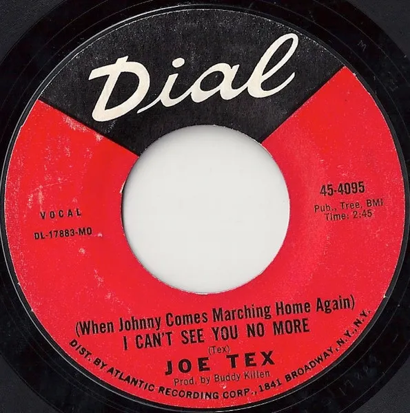(When Johnny Comes Marching Home Again) I Can't See You No More
