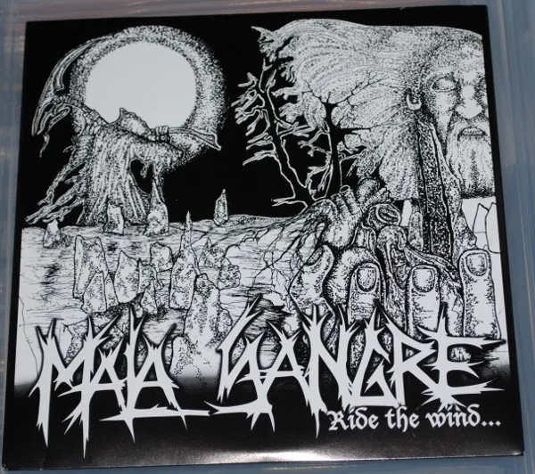 Ride The Wind...