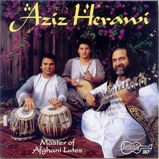 Master Of Afghani Lutes