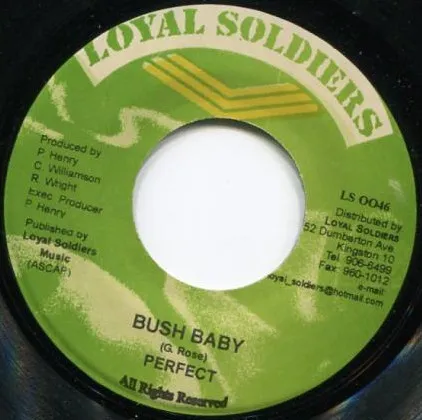 Bush Baby / Burn The Wicked