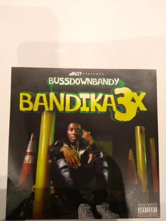 Bandika3x