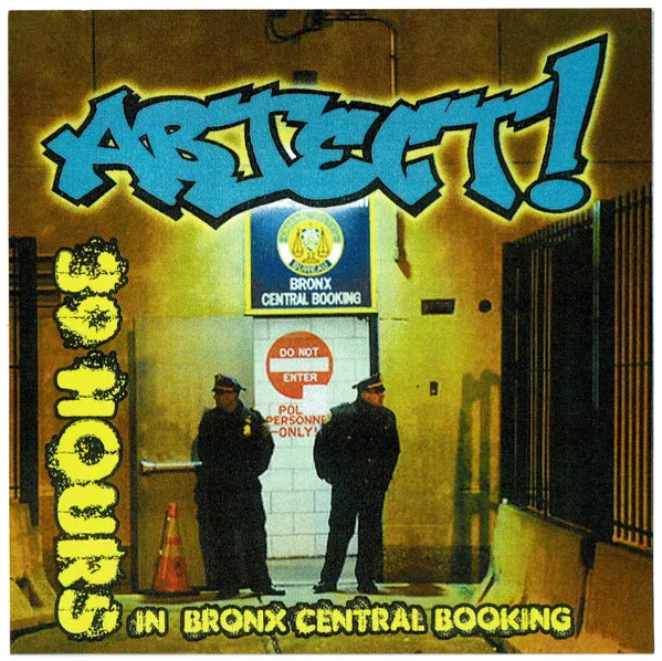 39 Hours In Bronx Central Booking