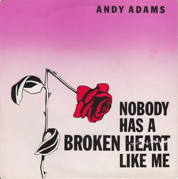 Nobody Has A Broken Heart Like Me