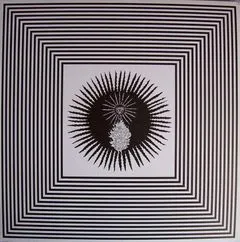 Solar Vision