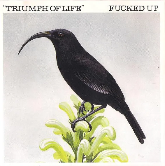 Triumph Of Life