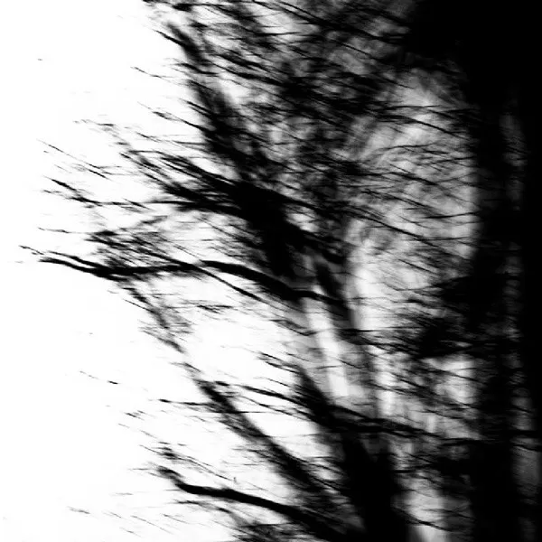 Split