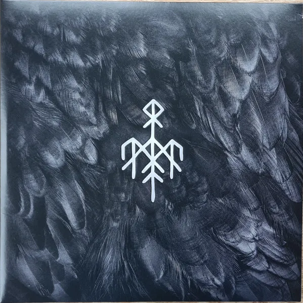 Kvitravn