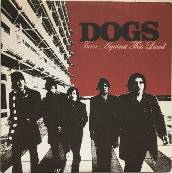 Dogs
