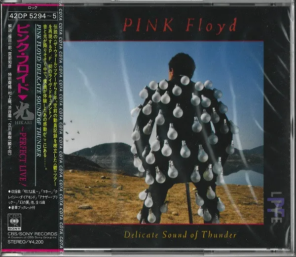 Delicate Sound Of Thunder = 光 Hikari~Perfect Live!