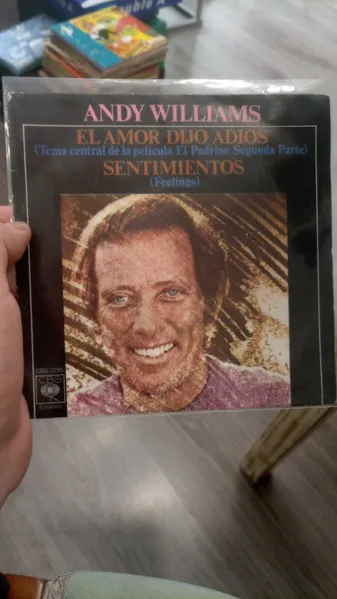 El Amor Dijo Adios / Sentimientos