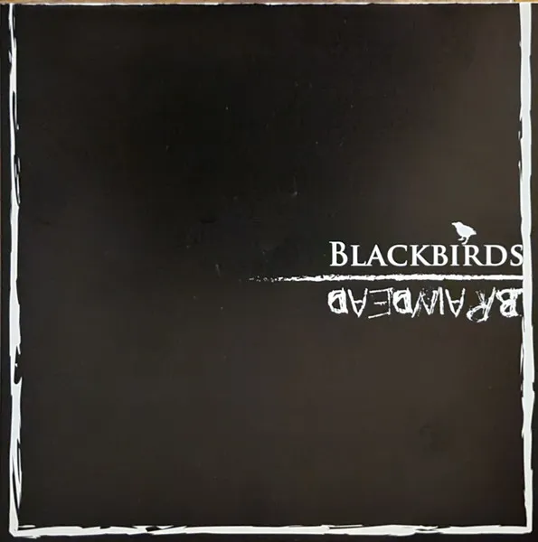Blackbirds