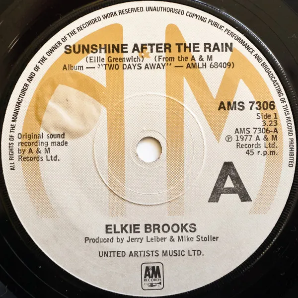 Sunshine After The Rain