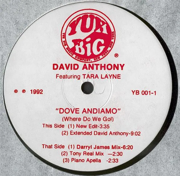 Dove Andiamo (Where Do We Go!)