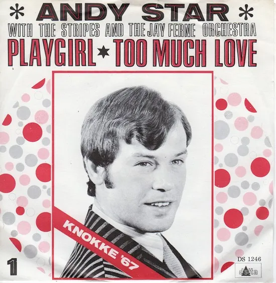 Playgirl / Too Much Love
