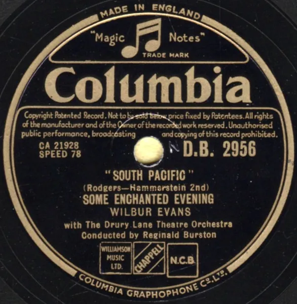 Some Enchanted Evening / This Nearly Was Mine