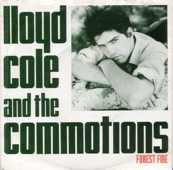 Forest Fire