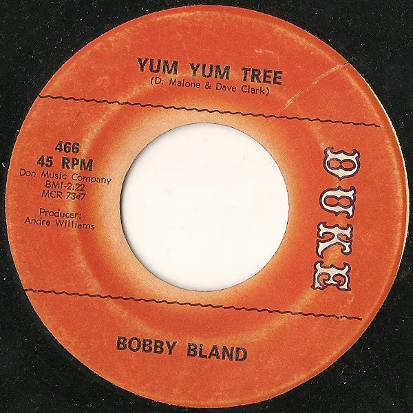 I'm Sorry / Yum Yum Tree