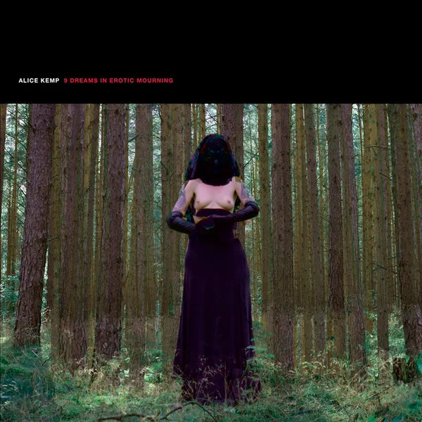 9 Dreams In Erotic Mourning