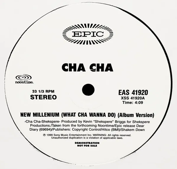New Millenium (What Cha Wanna Do)