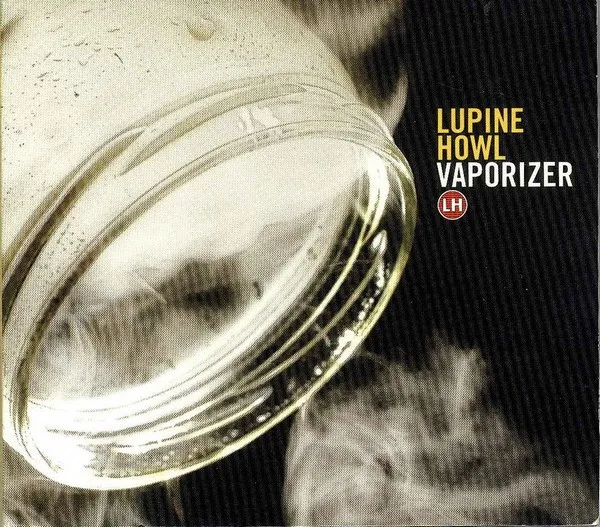 Vaporizer