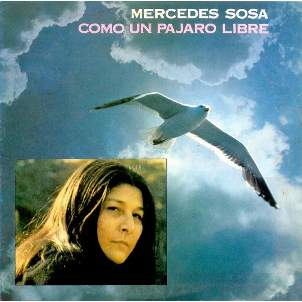Como Un Pajaro Libre