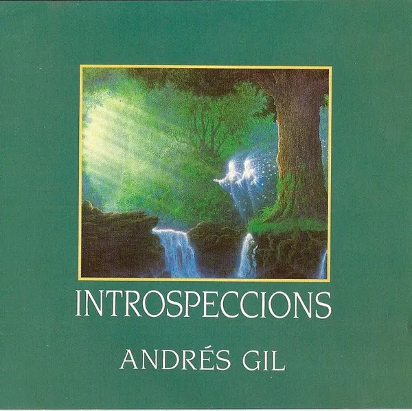 Introspeccions