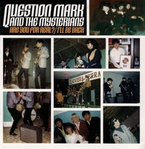 Question Mark and the Mysterians