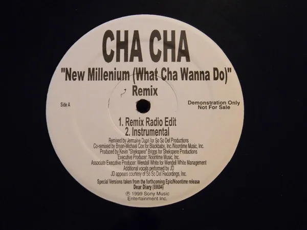 New Millenium (What Cha Wanna Do) Remix