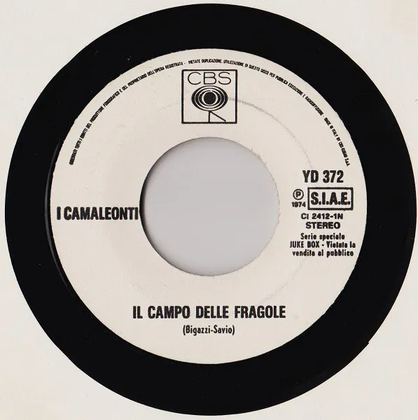 Il Campo Delle Fragole / Volevi Un Amore Grande