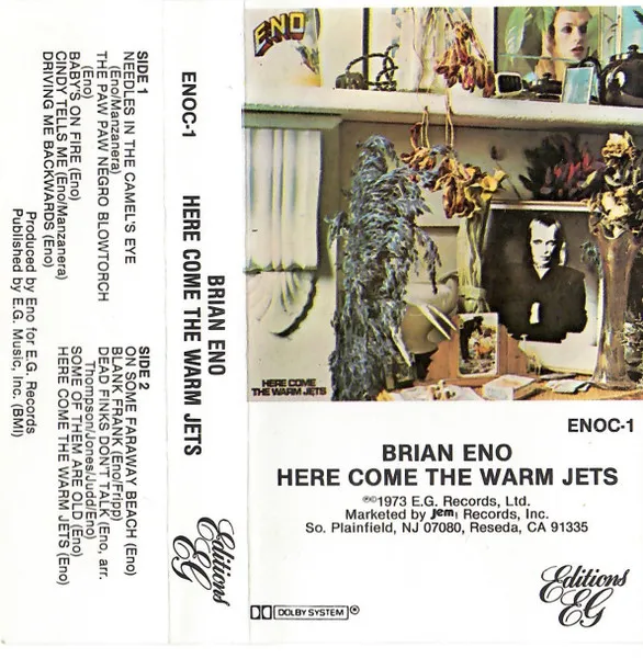 Here Come The Warm Jets