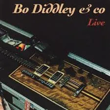 Bo Diddley & Co, Live
