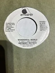 Wonderful World