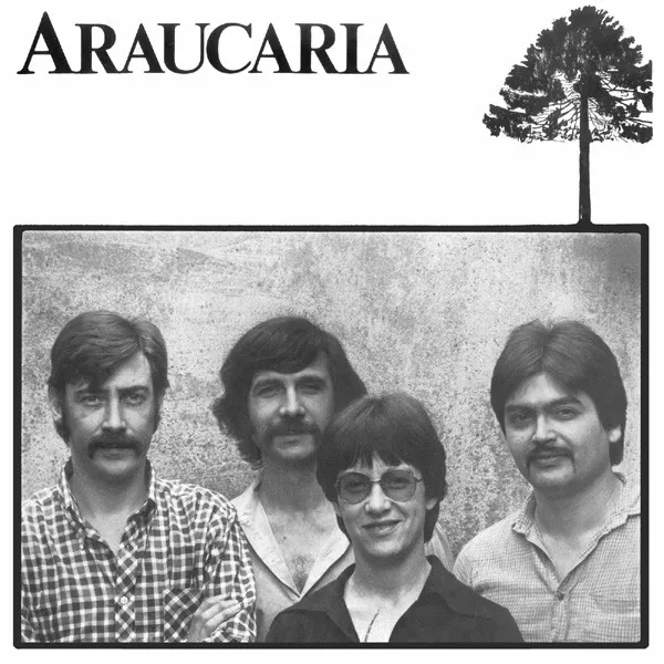 Araucaria