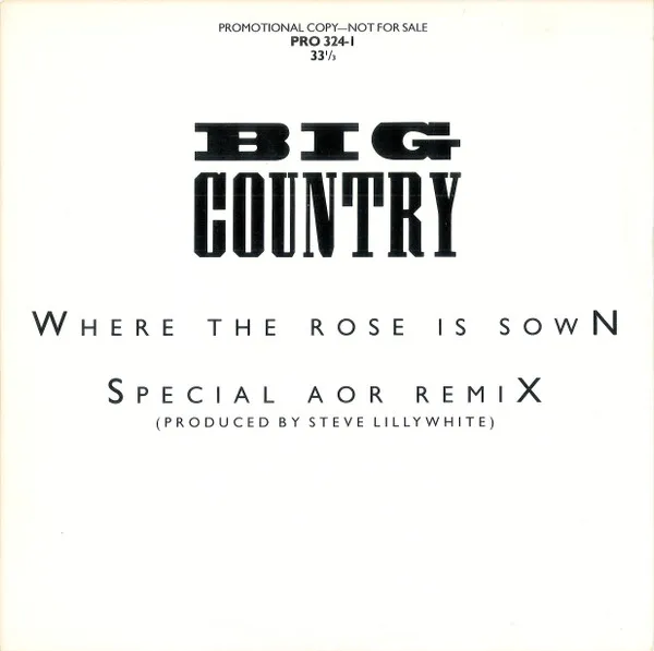 Where The Rose Is Sown (Special AOR Remix)