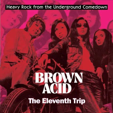 Brown Acid - the Eleventh Trip