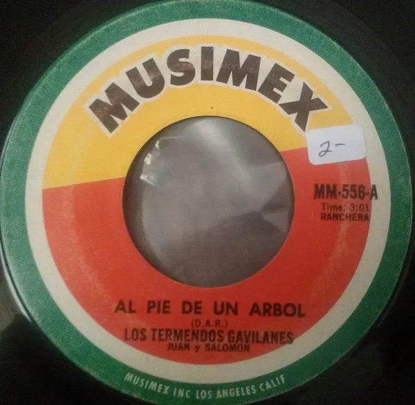 Al Pie De Un Arbol