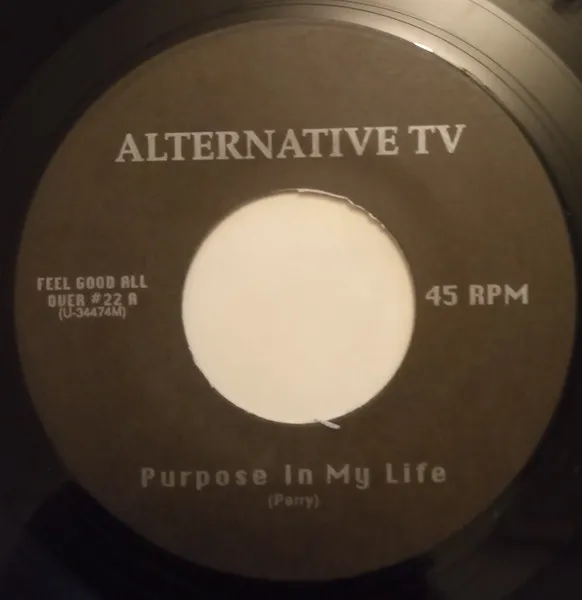 Purpose In My Life / Company Of Lies