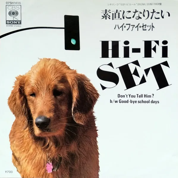 素直になりたい = Don't You Tell Him?
