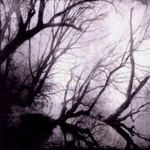 Knowing No Dawn