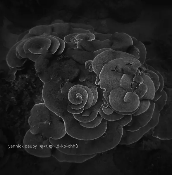 咾咕厝 ló​-​kó͘​-​chhù - Penghu Experimental Sound Studio Vol​.​2