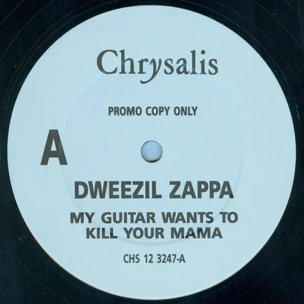 My Guitar Wants To Kill Your Mama...