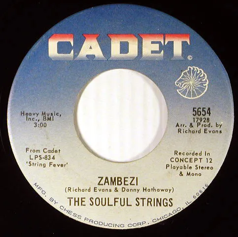 The Soulful Strings